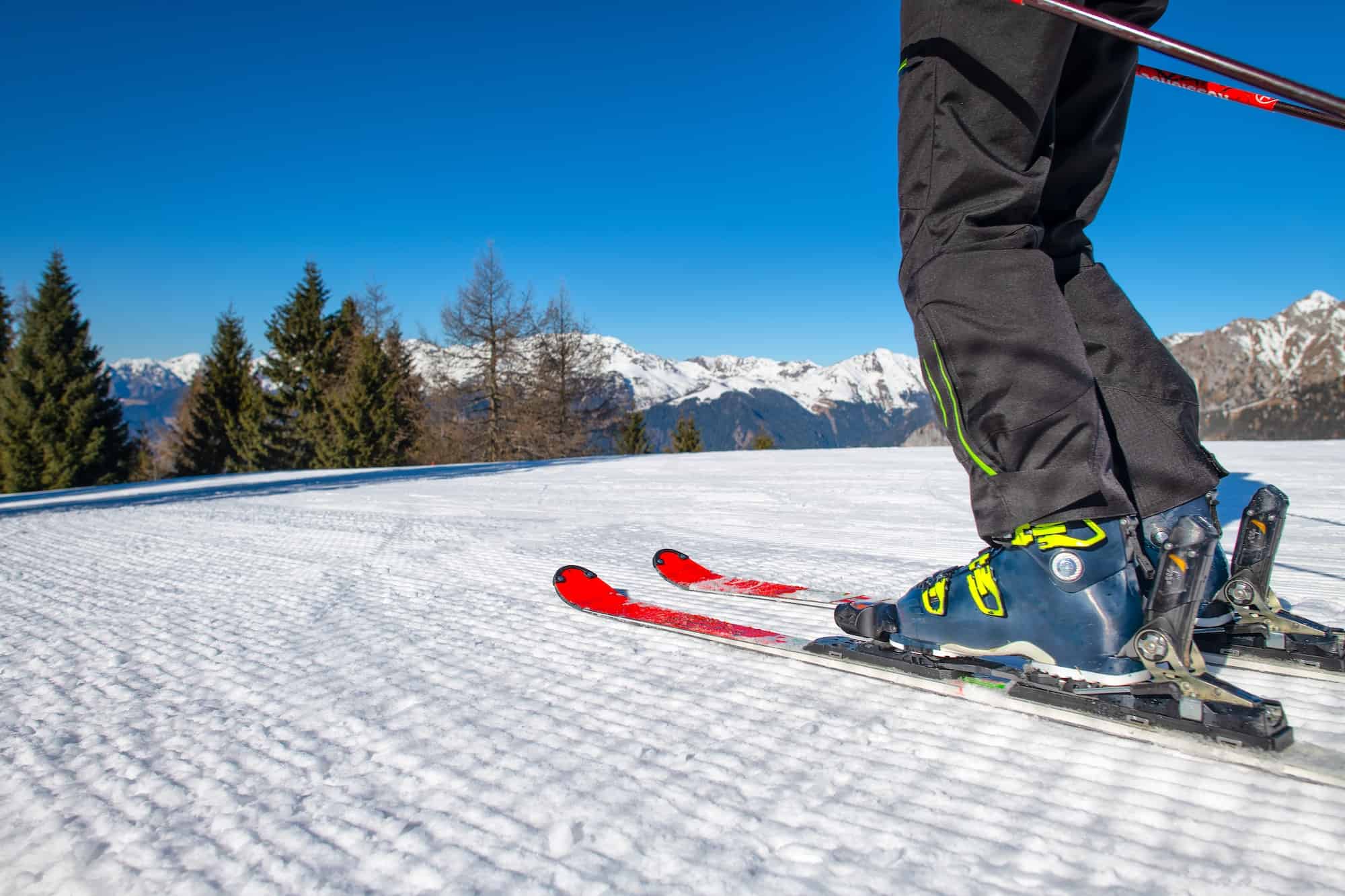 Ski detail on ski