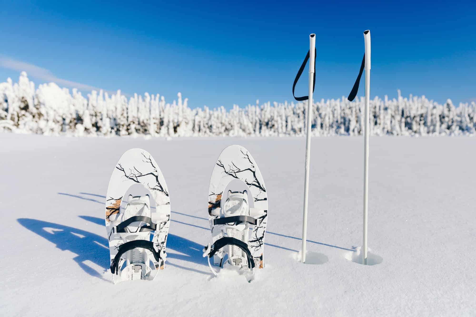 White snowshoes with trekking poles in the snow on the winter forest and snowy background.